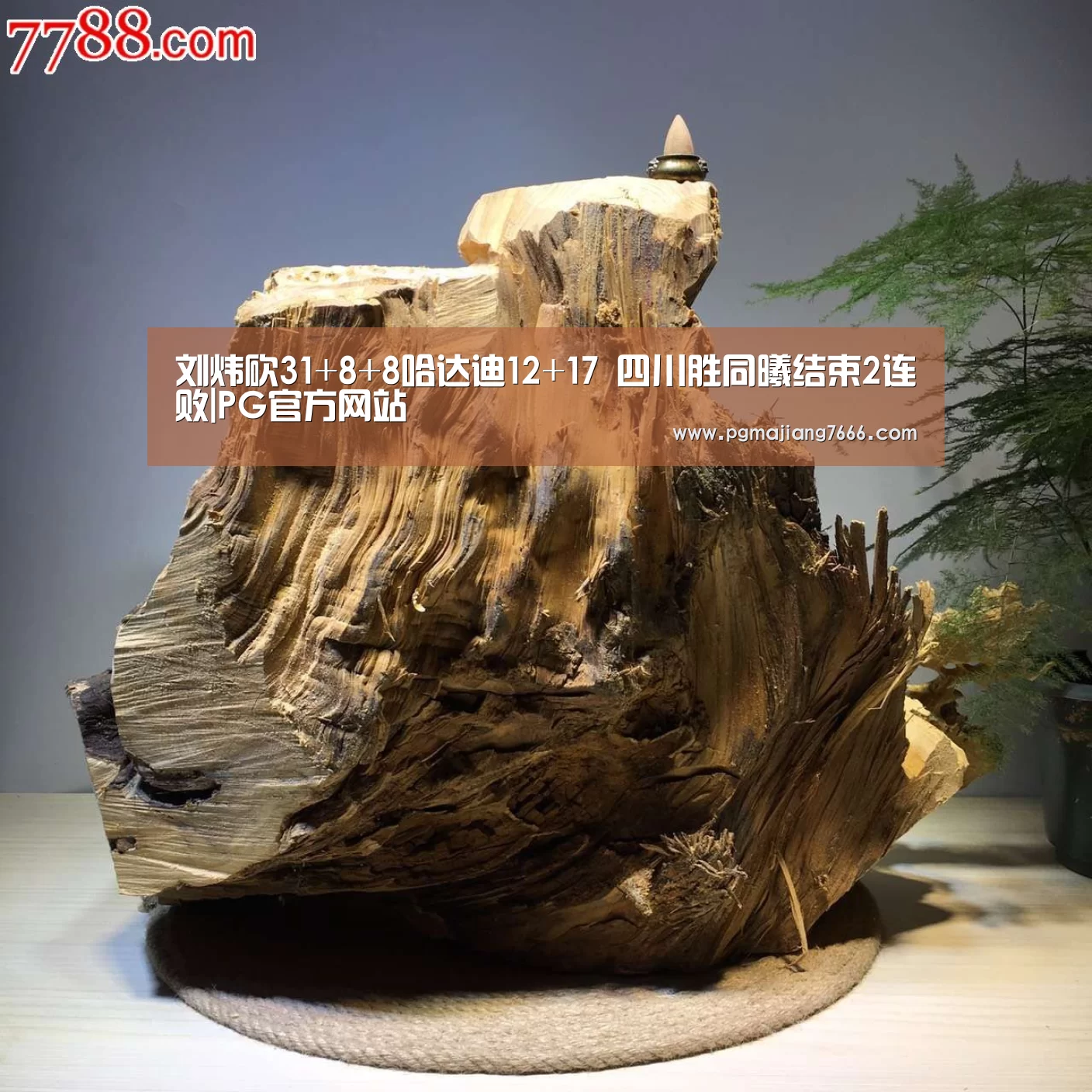 PG麻将在线玩