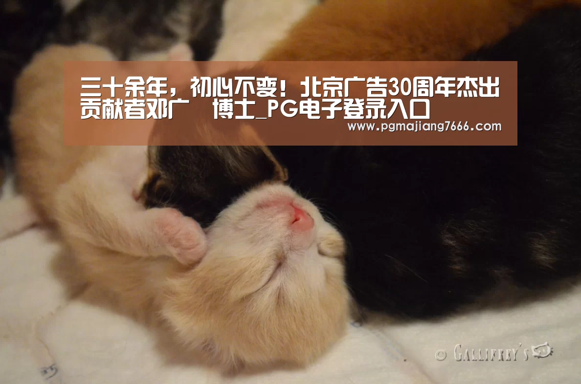 PG官方网站