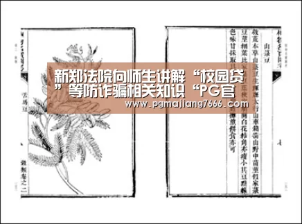 新郑法院向师生讲解“校园贷”等防诈骗相关知识“PG官方网站”(图2) PG麻将娱乐
