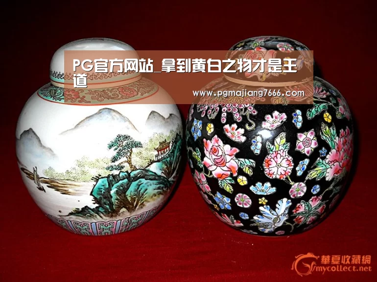 PG官方网站