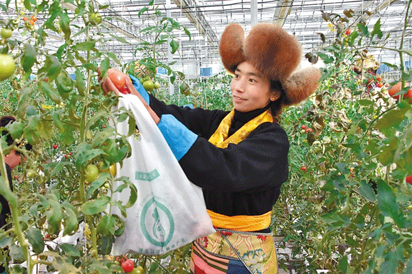 PG麻将在线玩